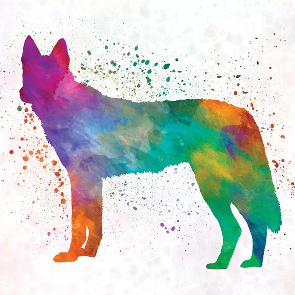 Paul Rommer: Czechoslovakian Wolfdog In Watercolor by Paul Rommer