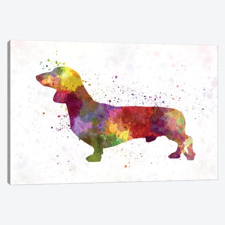 Dachshund In Watercolor Canvas Print #PUR182} by Paul Rommer Art Print