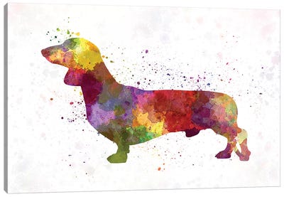 Dachshund In Watercolor Canvas Art Print - Paul Rommer