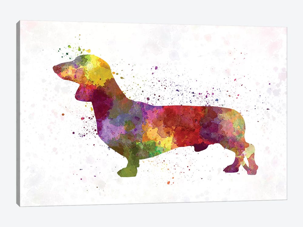 Dachshund In Watercolor by Paul Rommer 1-piece Canvas Wall Art