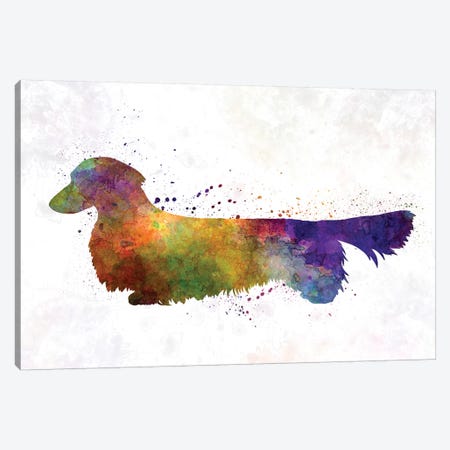 Dachshund Long Haired In Watercolor Canvas Print #PUR183} by Paul Rommer Canvas Art Print