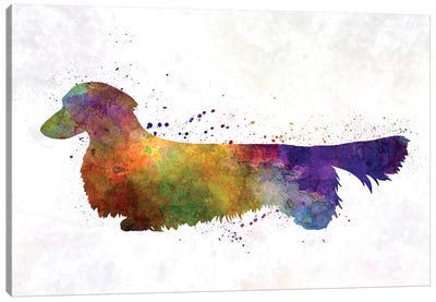 Dachshund Long Haired In Watercolor Canvas Art Print - Paul Rommer