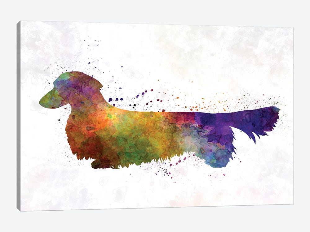 Dachshund Long Haired In Watercolor by Paul Rommer 1-piece Art Print