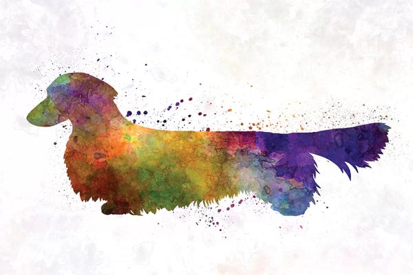 Paul Rommer: Dachshund Long Haired In Watercolor by Paul Rommer