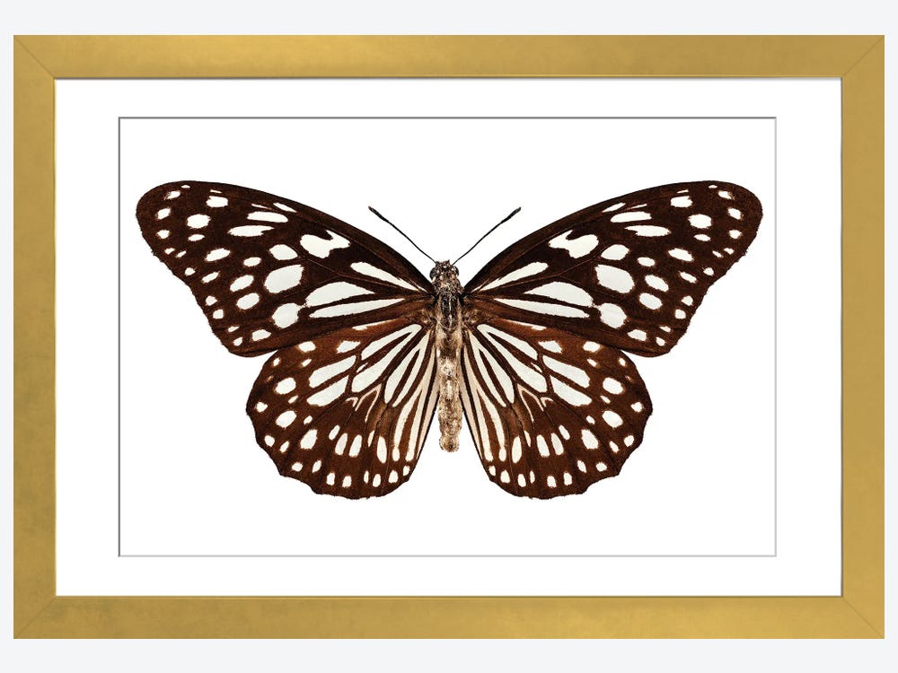Monarch Brands Premier Collection 15 x 25 Brown Stripe Pattern