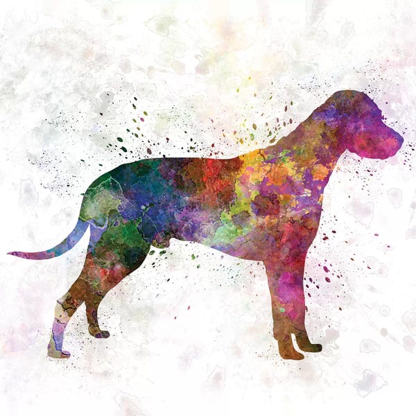 Dalmatians: Dalmatian In Watercolor by Paul Rommer