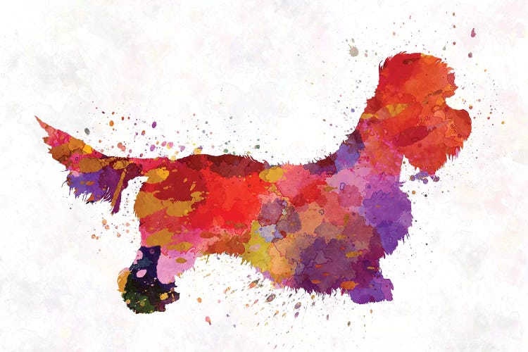 Dandie Dinmont Terrier In Watercolor by Paul Rommer wall art
