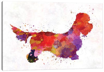 Dandie Dinmont Terrier In Watercolor Canvas Art Print