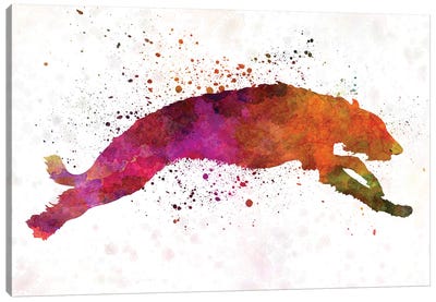 Deerhound In Watercolor I Canvas Art Print