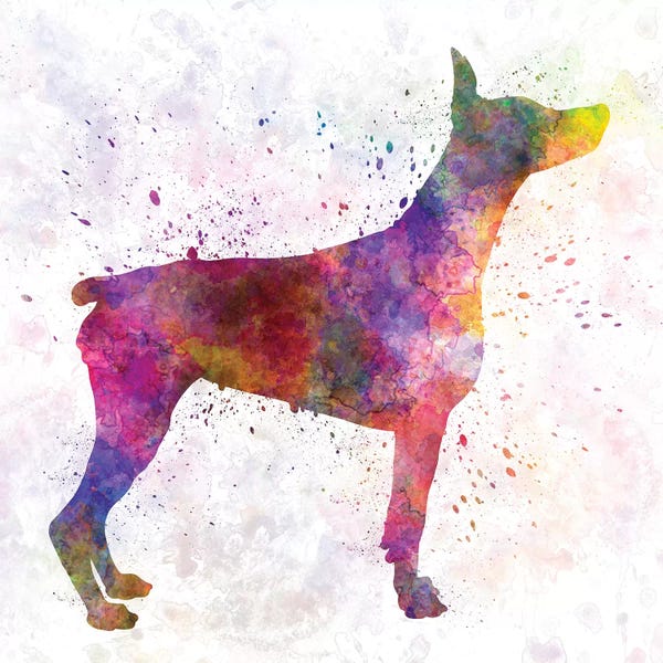 Paul Rommer: Doberman In Watercolor by Paul Rommer