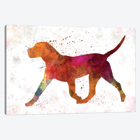 Dogo Canario In Watercolor Canvas Print #PUR205} by Paul Rommer Art Print