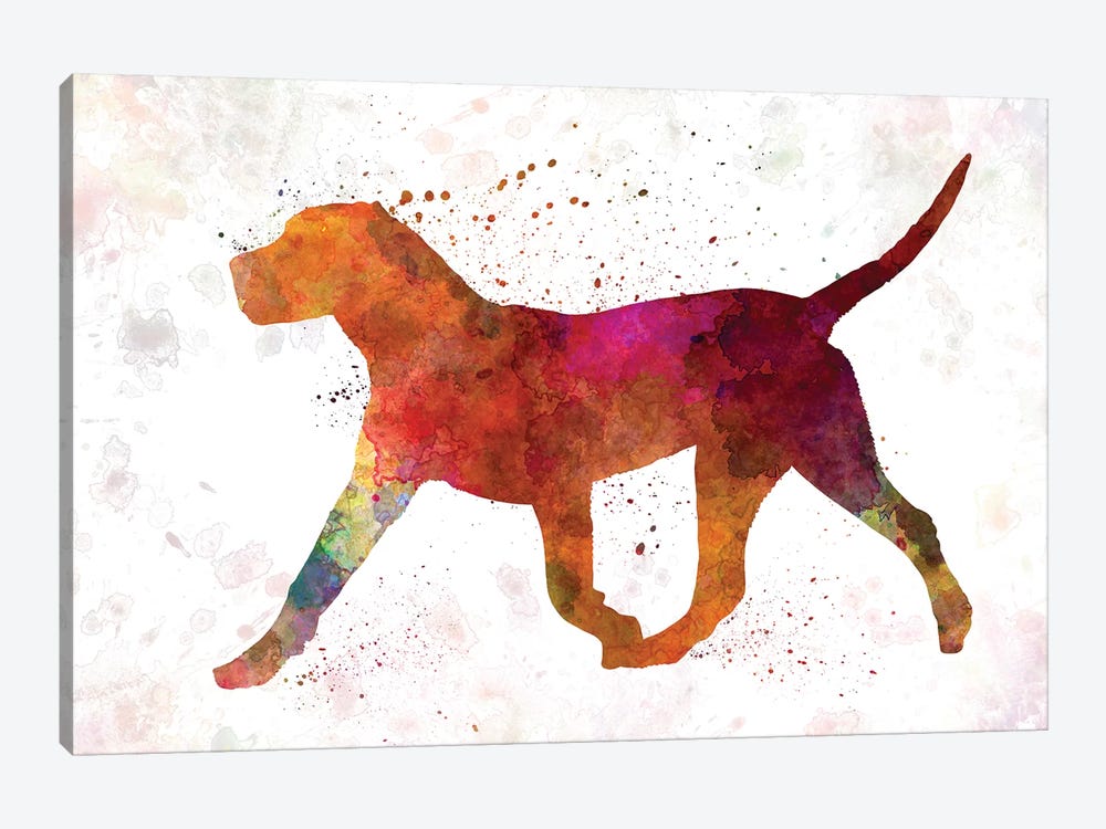 Dogo Canario In Watercolor by Paul Rommer 1-piece Canvas Print