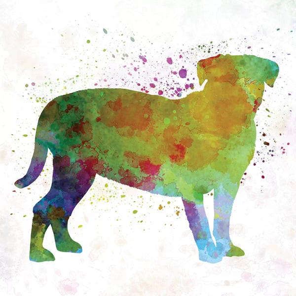 Dogues de Bordeaux: Dogo De Bordeaux In Watercolor by Paul Rommer