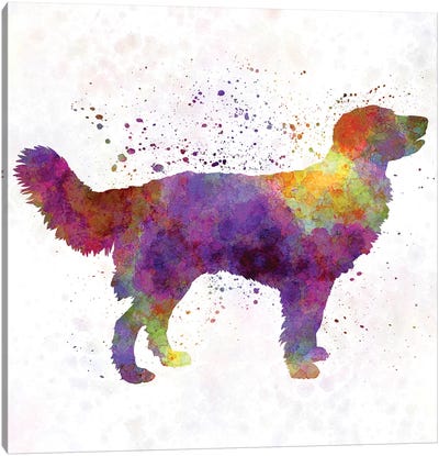 Drentsche Partridge Dog In Watercolor Canvas Art Print