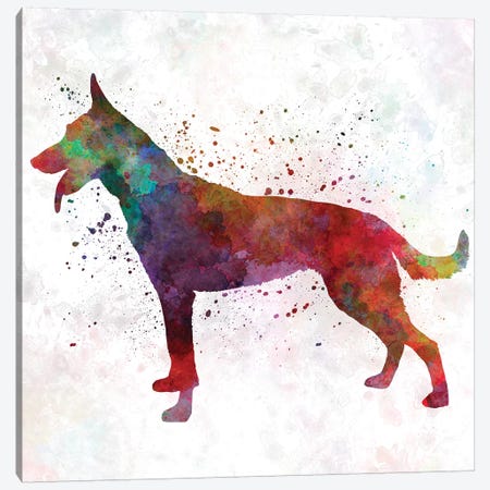 Dutch Shepherd Dog In Watercolor Canvas Print #PUR219} by Paul Rommer Canvas Print