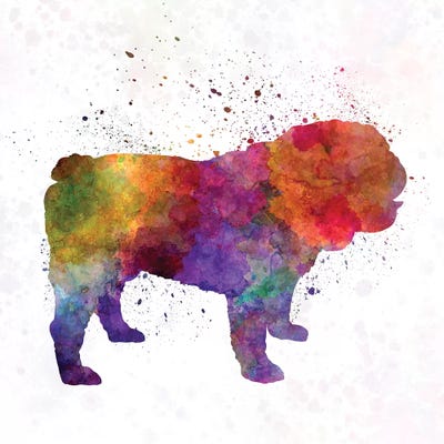 English Bulldog In Watercolor by Paul Rommer metal wall art