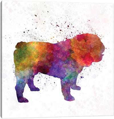 English Bulldog In Watercolor Canvas Art Print - Bulldog Art