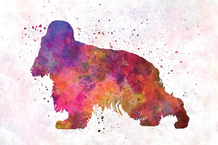 English Cocker Spaniel In Watercolor