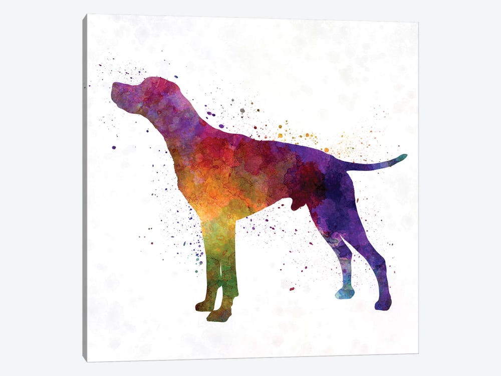 English Pointer In Watercolor by Paul Rommer 1-piece Canvas Art