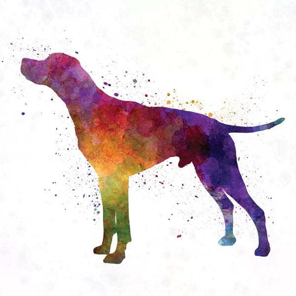 Pointers & Setters: English Pointer In Watercolor by Paul Rommer