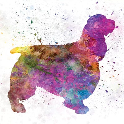 English Springer Spaniel 01 In Watercolor by Paul Rommer metal wall art