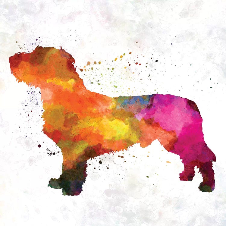 Fawn Brittany Basset In Watercolor by Paul Rommer wall art