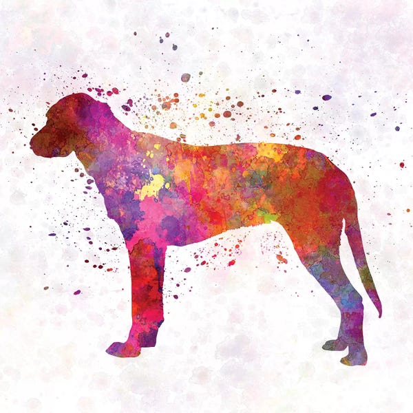 Hounds: Finnish Hound In Watercolor by Paul Rommer