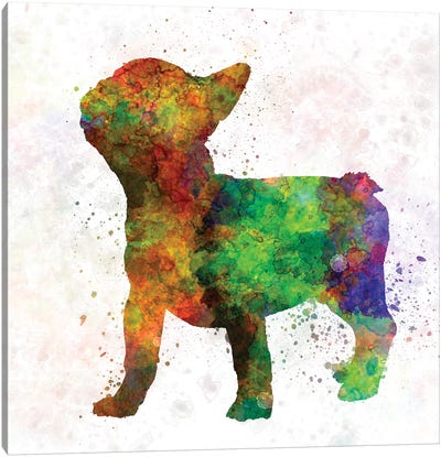 French Bulldog 01 Canvas Art Print - Paul Rommer