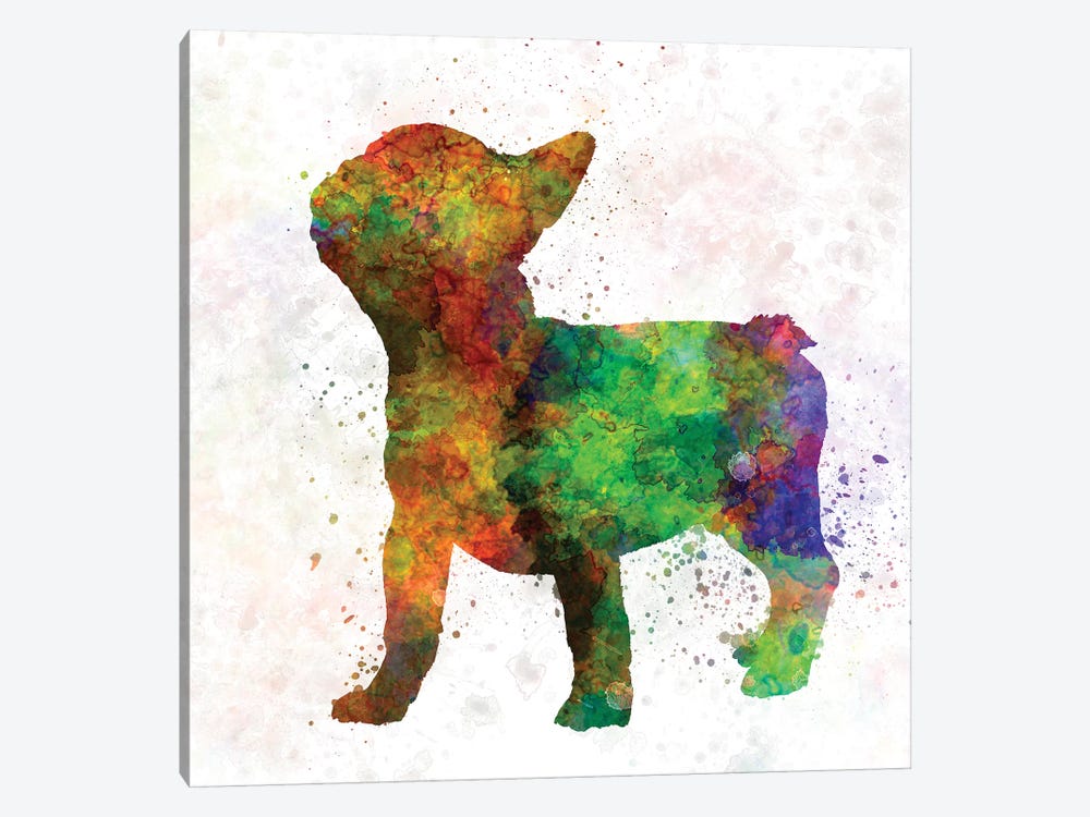 French Bulldog 01 by Paul Rommer 1-piece Canvas Wall Art
