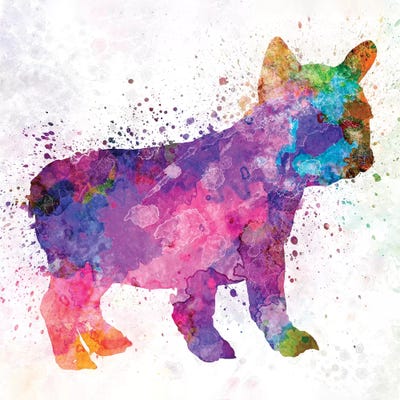 French Bulldog 02 by Paul Rommer acrylic art print