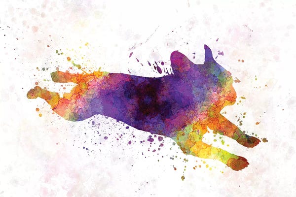 Paul Rommer: French Bulldog 03 by Paul Rommer