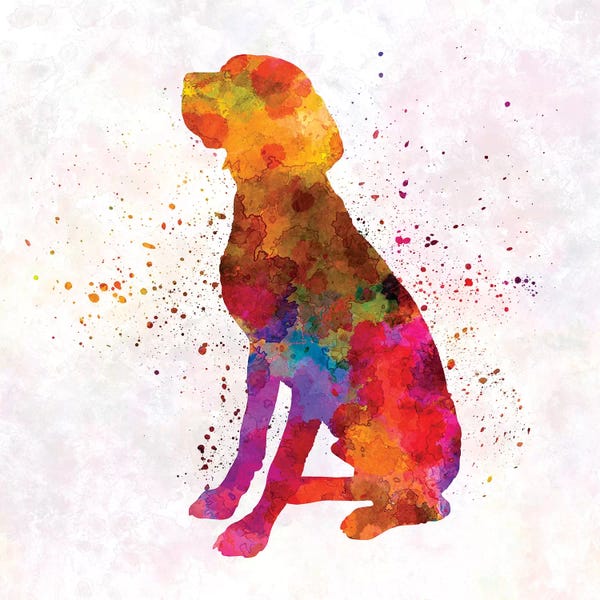 Pointers & Setters: French Pointer In Watercolor by Paul Rommer