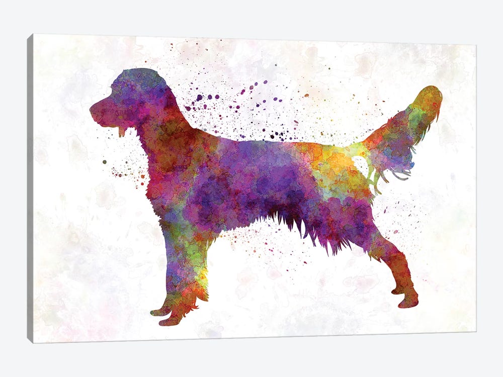 French Spaniel In Watercolor by Paul Rommer 1-piece Canvas Wall Art