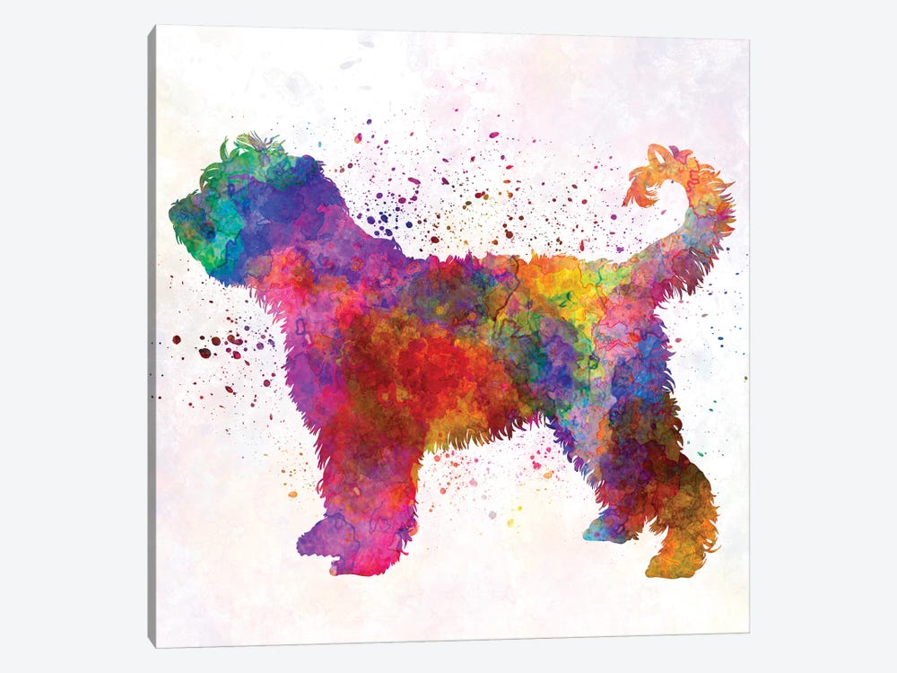 French Water Dog In Watercolor by Paul Rommer 1-piece Canvas Art Print