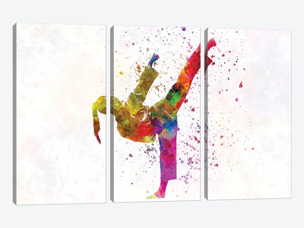 Woman Practices Judo In Watercolor II by Paul Rommer 3-piece Canvas Art Print