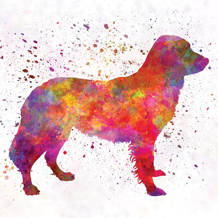 Frisian Pointer In Watercolor