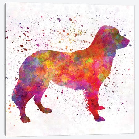 Frisian Pointer In Watercolor Canvas Print #PUR269} by Paul Rommer Canvas Artwork