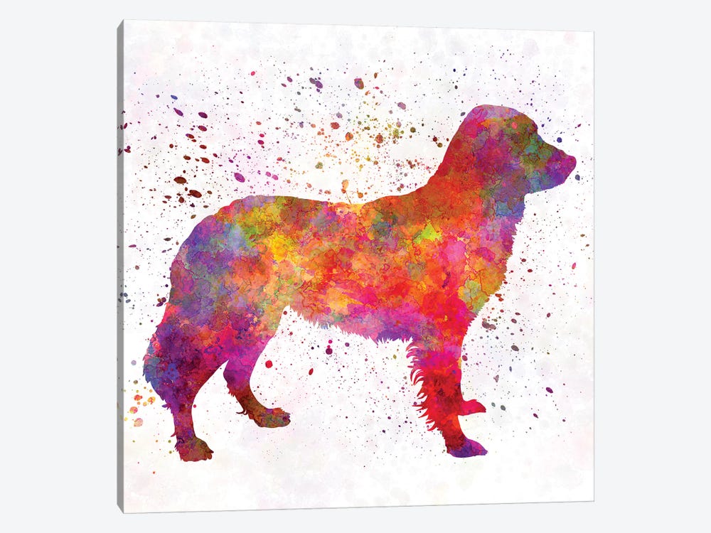 Frisian Pointer In Watercolor by Paul Rommer 1-piece Canvas Print