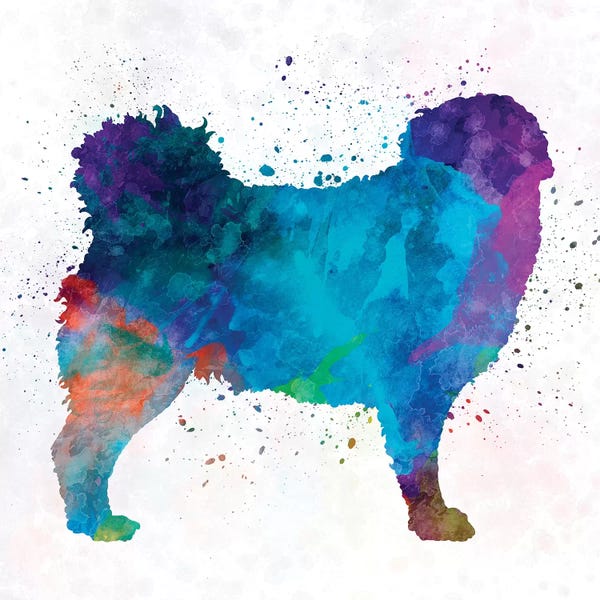 Frisian Water Dog In Watercolor