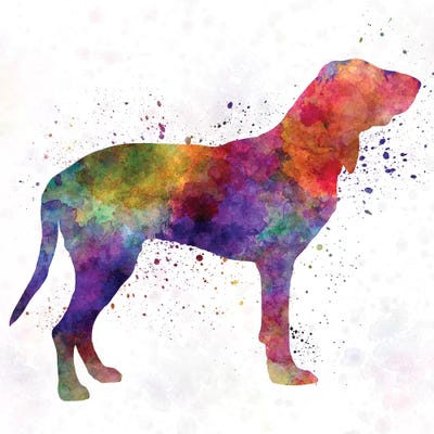 Gascon Saintongeois In Watercolor by Paul Rommer canvas print