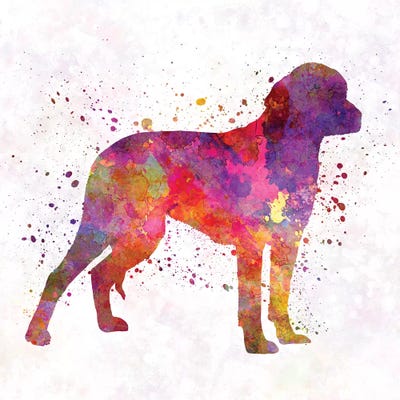 German Hound In Watercolor by Paul Rommer acrylic art print