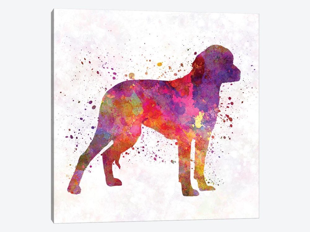 German Hound In Watercolor by Paul Rommer 1-piece Canvas Print