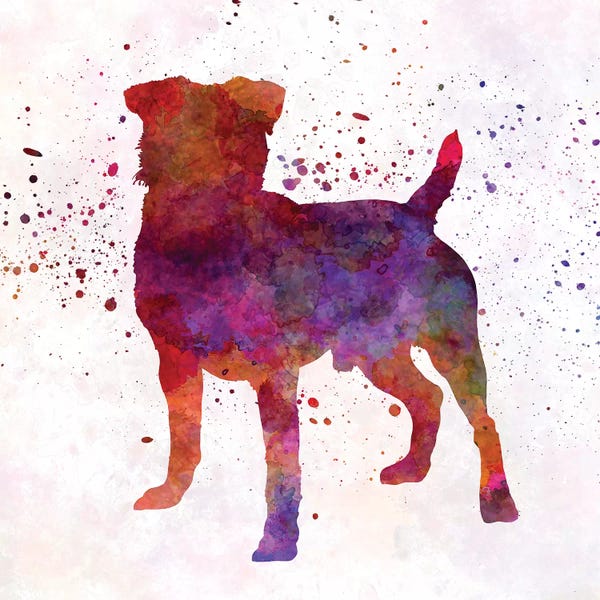 Terriers: German Hunting Terrier In Watercolor by Paul Rommer