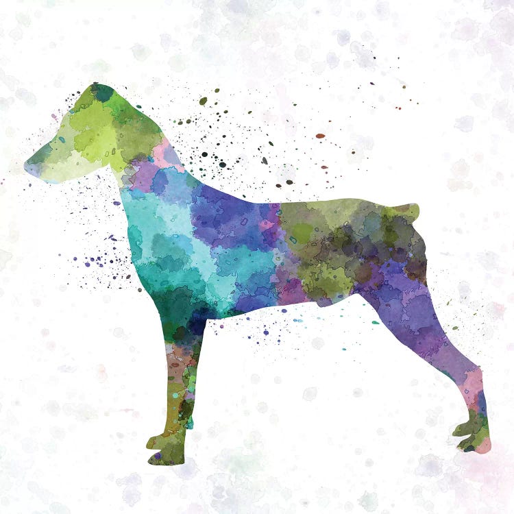 German Pinscher In Watercolor I