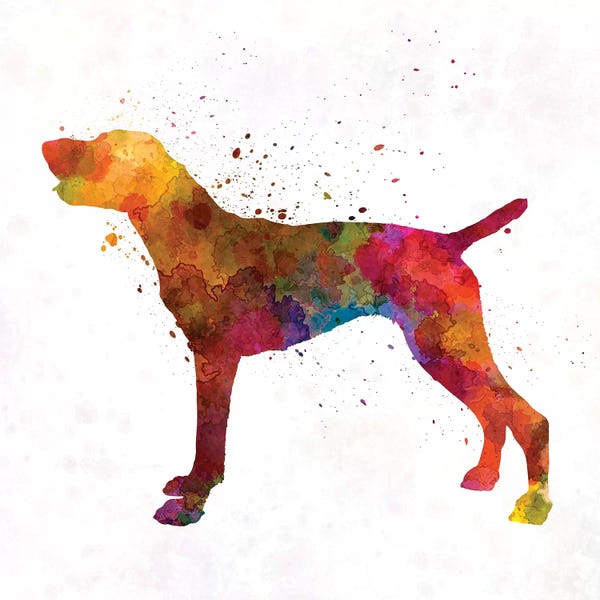 Paul Rommer: German Shorthaired Pointer In Watercolor by Paul Rommer