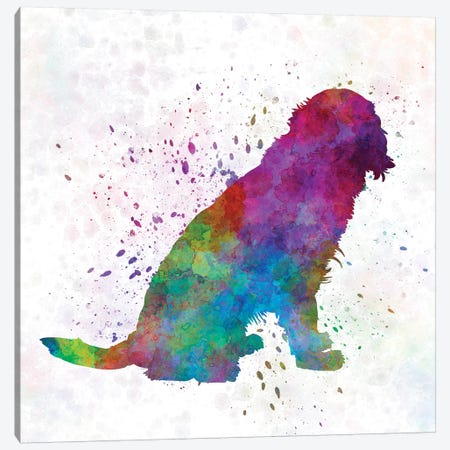 German Spaniel In Watercolor Canvas Print #PUR283} by Paul Rommer Canvas Wall Art