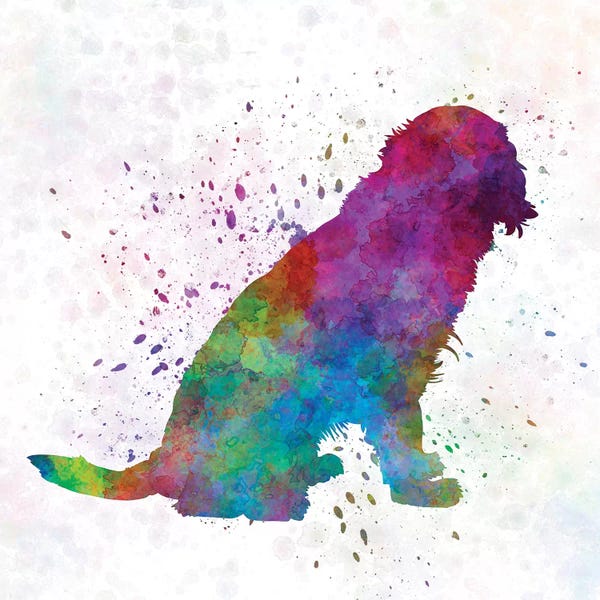 Spaniels: German Spaniel In Watercolor by Paul Rommer