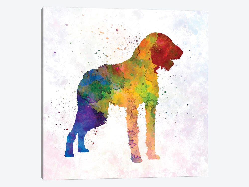 German Wirehaired Pointer In Watercolor by Paul Rommer 1-piece Canvas Art Print