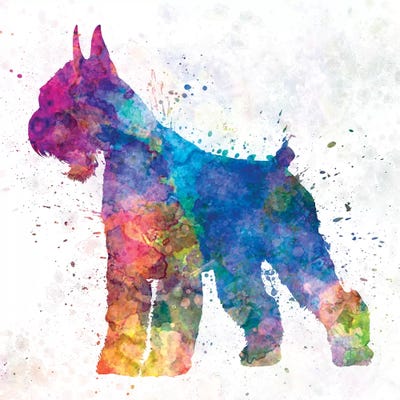 Giant Schnauzer I by Paul Rommer art print