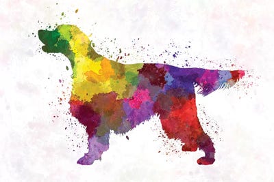 Gordon Setters